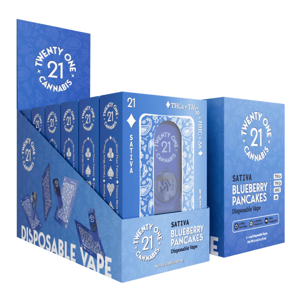 Twenty One 2ml Blueberry Pancakes